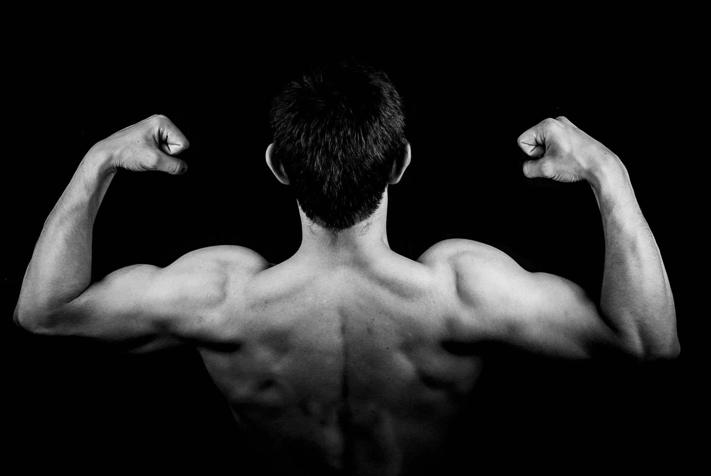 Volume Musculaire